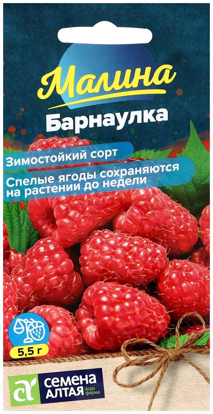 Семена Ягода Малина Барнаулка красная, ц/п, 0,3 г.