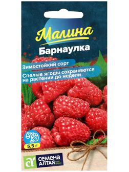 Семена Ягода Малина Барнаулка красная, ц/п, 0,3 г.