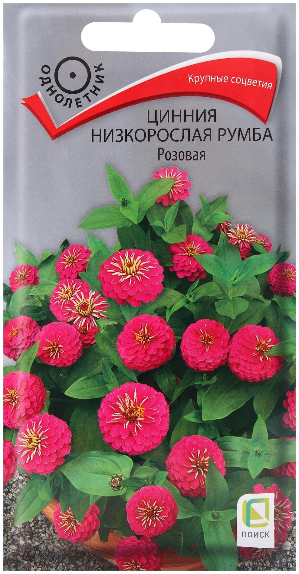 Семена цветов Цинния низкорослая Румба Розовая, 0,1гр