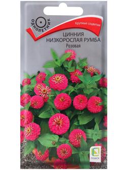 Семена цветов Цинния низкорослая Румба Розовая, 0,1гр