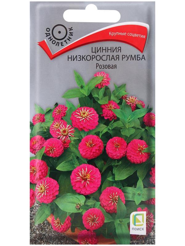 Семена цветов Цинния низкорослая Румба Розовая, 0,1гр