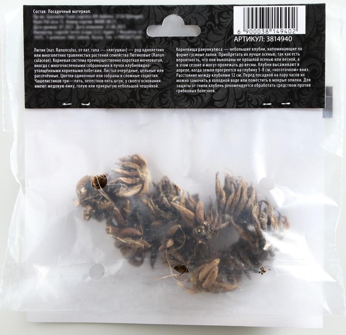 Ранункулюс (Лютик) Йеллоу, р-р 7/8, 7 шт, Весна 2025