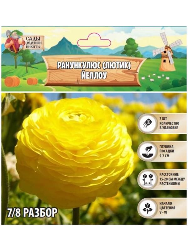 Ранункулюс (Лютик) Йеллоу, р-р 7/8, 7 шт, Весна 2025