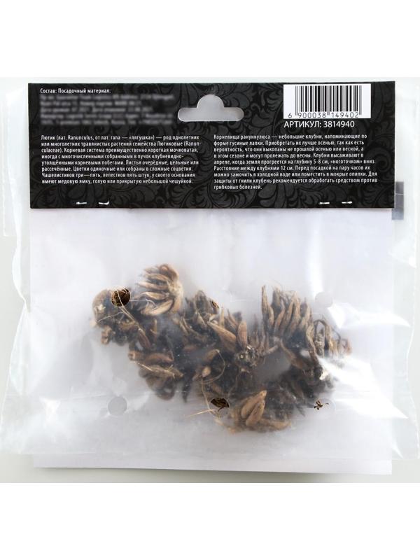 Ранункулюс (Лютик) Йеллоу, р-р 7/8, 7 шт, Весна 2025