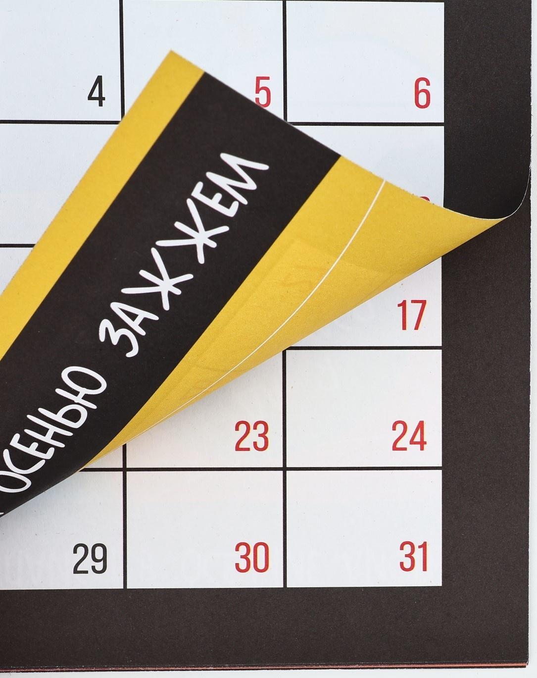 Календарь 2025 настенный, планинг «Новый год: Жизненный», 29 х 21 см