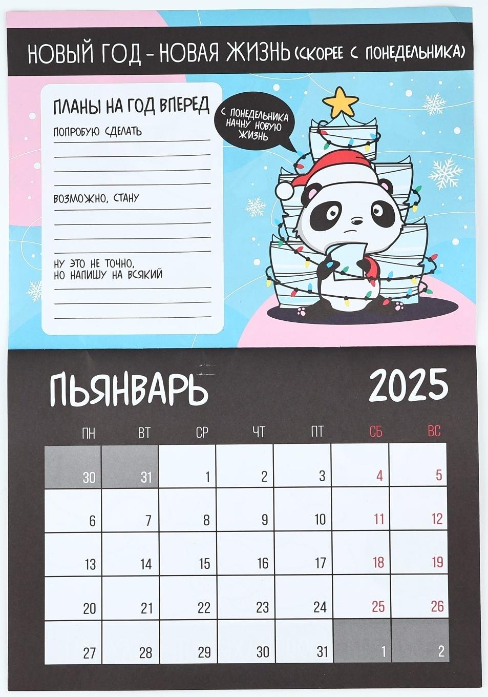 Календарь 2025 настенный, планинг «Новый год: Жизненный», 29 х 21 см