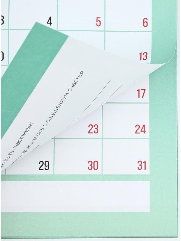 Календарь 2025 настенный, планинг «Новый год: Счастья», 29 х 21 см