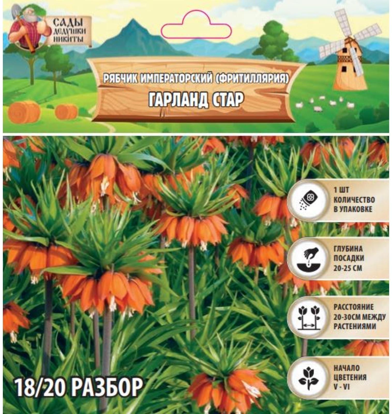 Рябчик императорский (Фритиллярия) Гарланд Стар, р-р 18/20, 1 шт, Весна 2025