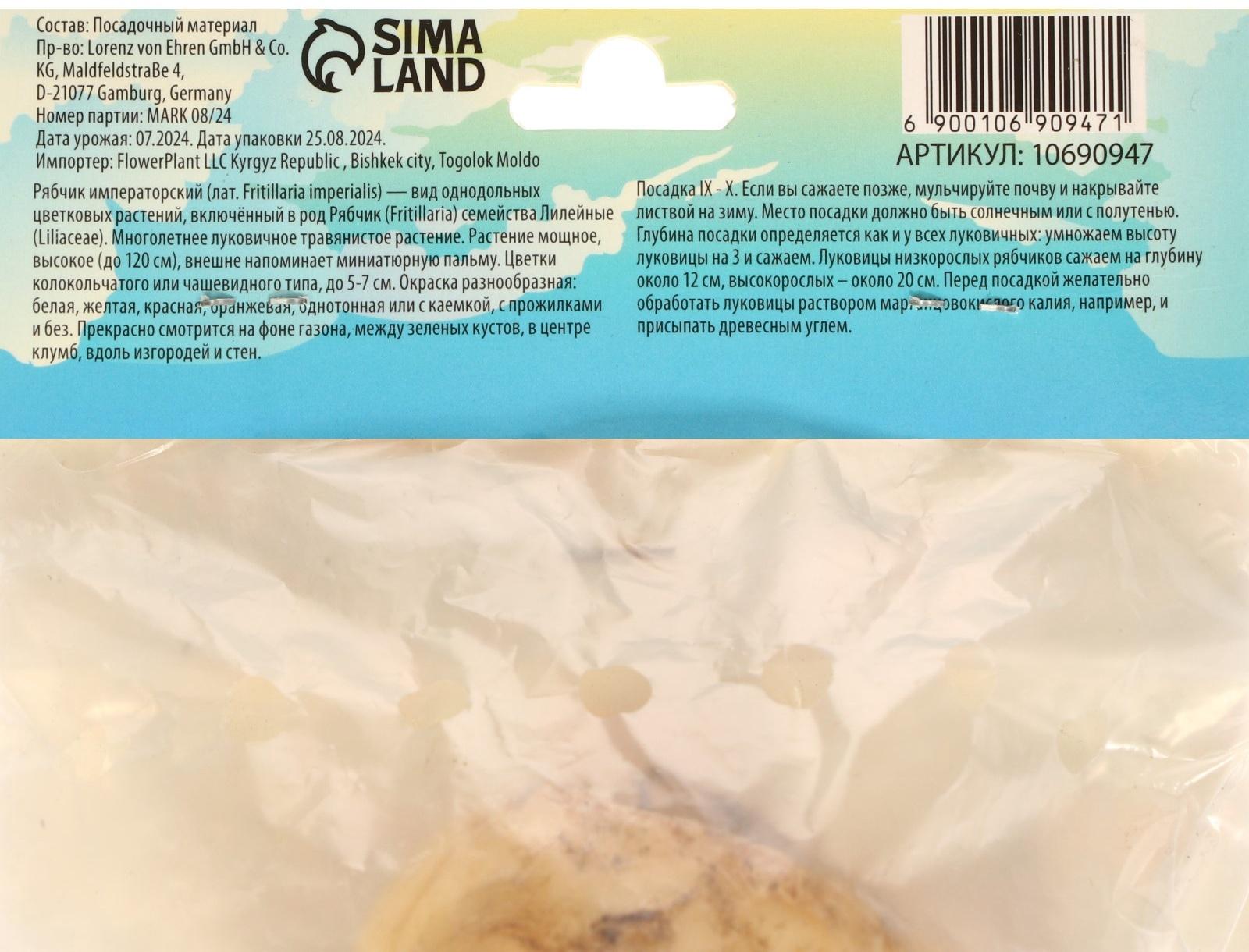 Рябчик императорский (Фритиллярия) Гарланд Стар, р-р 18/20, 1 шт, Весна 2025