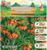 Рябчик императорский (Фритиллярия) Гарланд Стар, р-р 18/20, 1 шт, Весна 2025