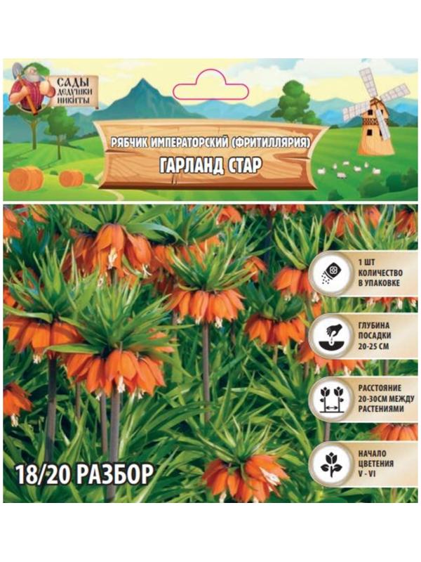Рябчик императорский (Фритиллярия) Гарланд Стар, р-р 18/20, 1 шт, Весна 2025