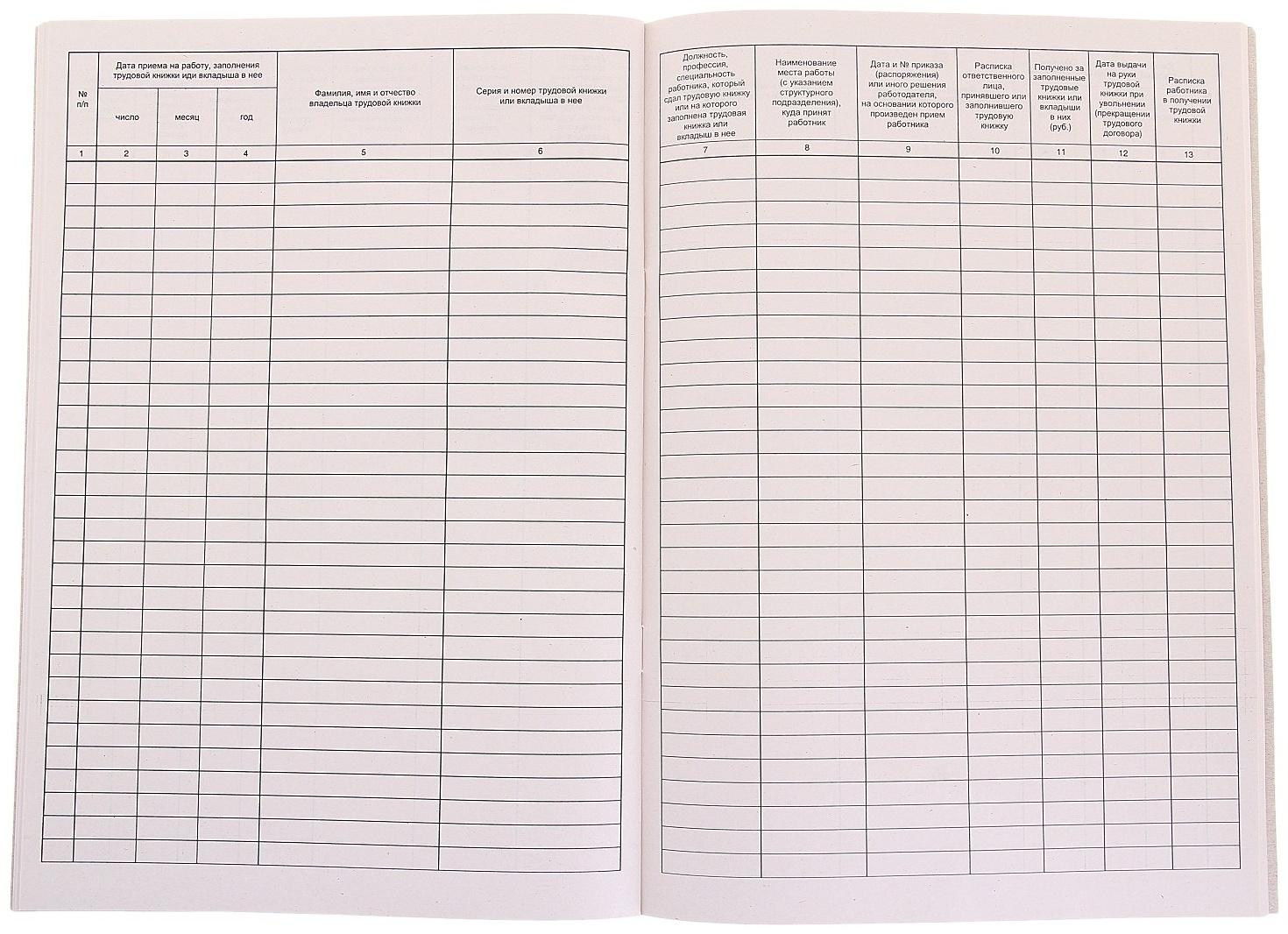 Книга учета движения трудовых книжек и вкладышей А4, 48 листов