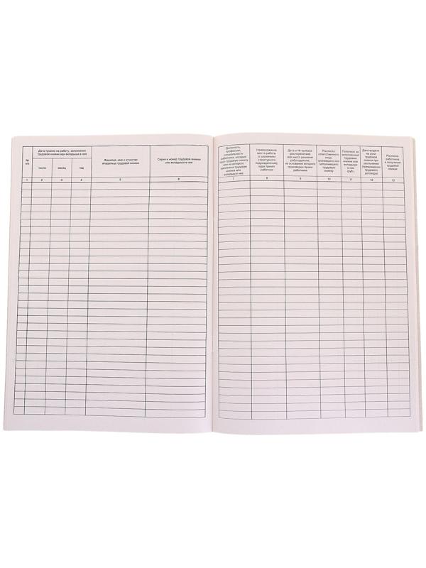 Книга учета движения трудовых книжек и вкладышей А4, 48 листов