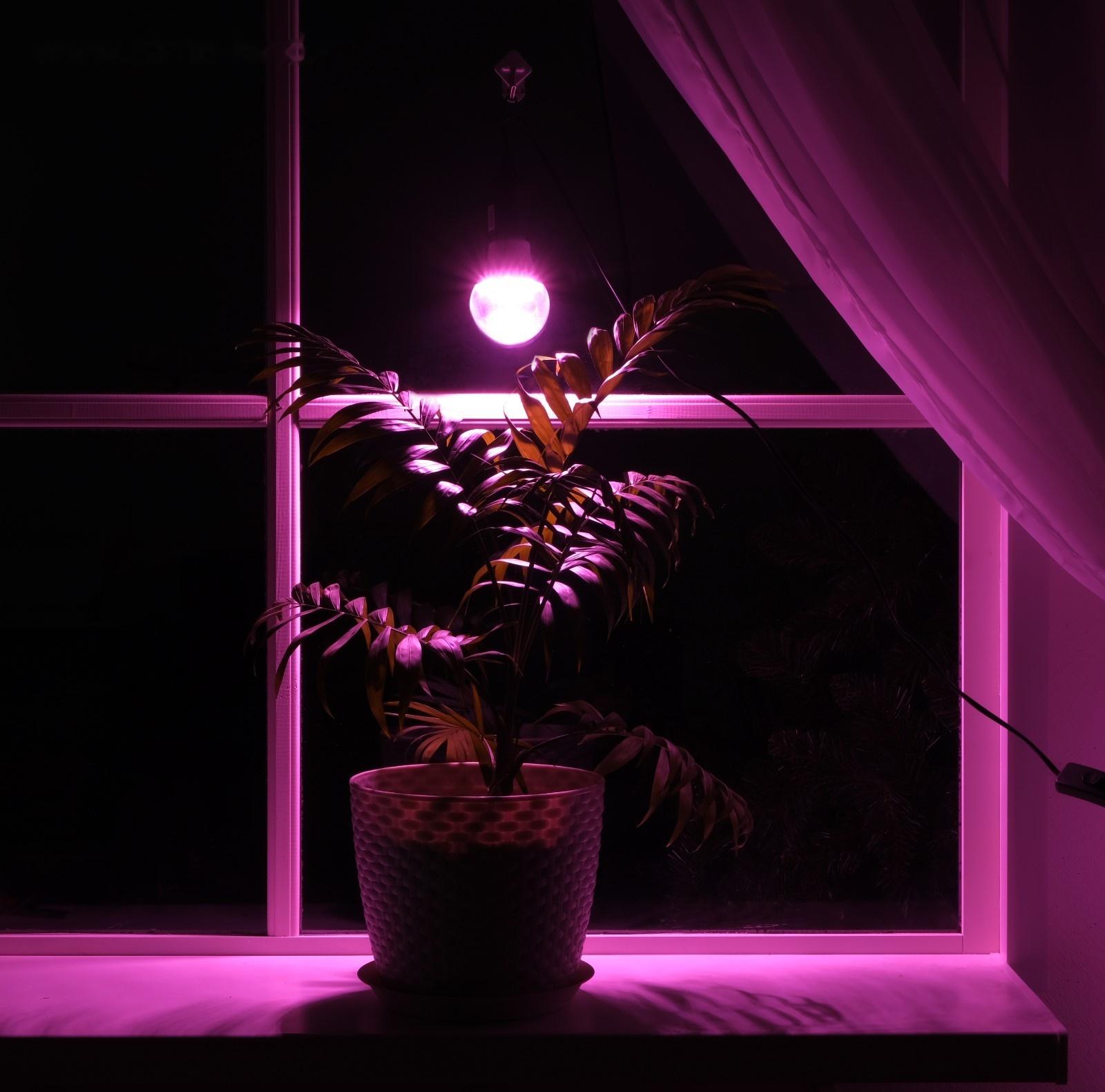 Светильник для растений 12 Вт, 10 мкмоль/с, провод 1.7 метра с выключателем, липучка на окно