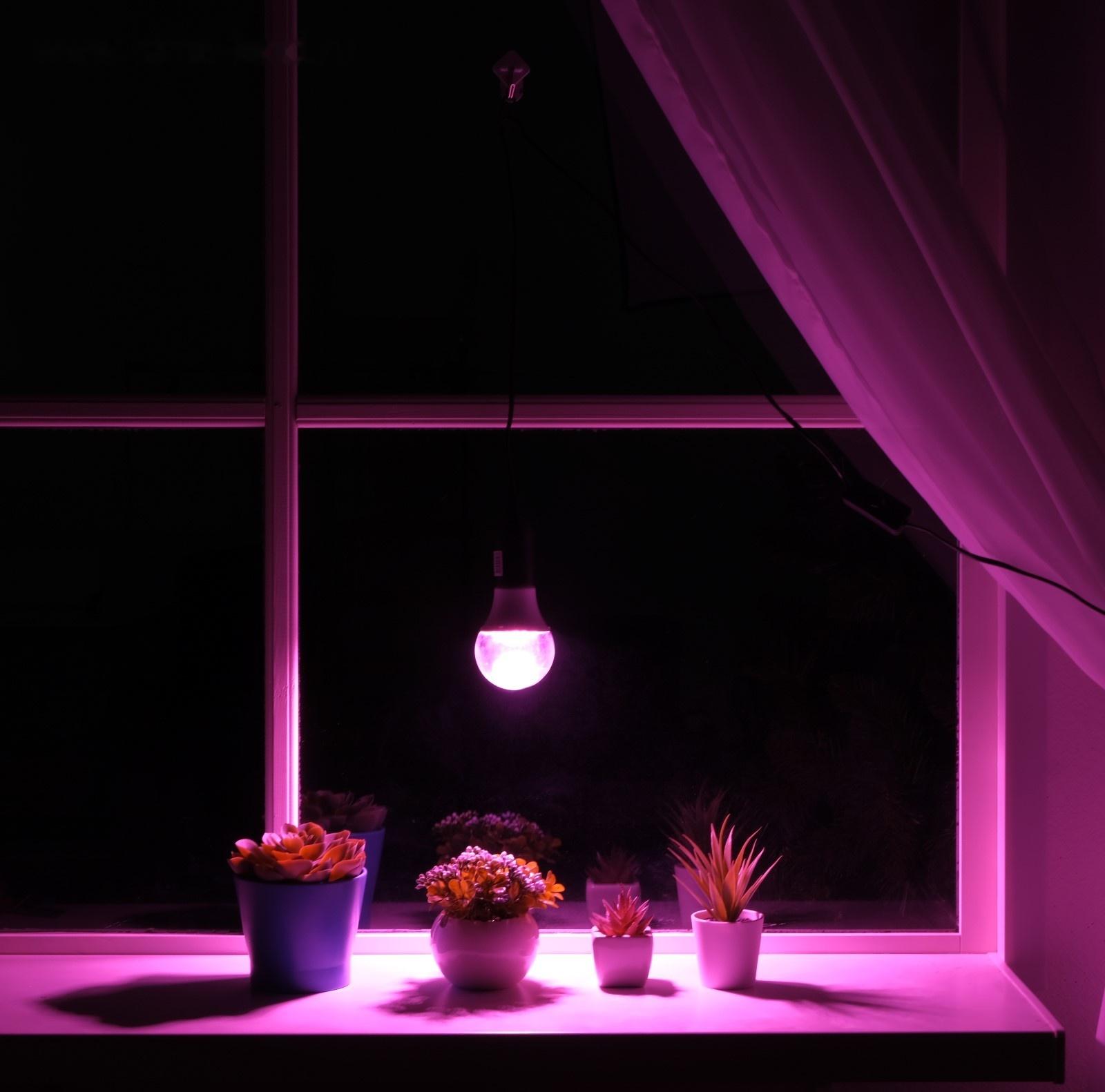 Светильник для растений 12 Вт, 10 мкмоль/с, провод 1.7 метра с выключателем, липучка на окно