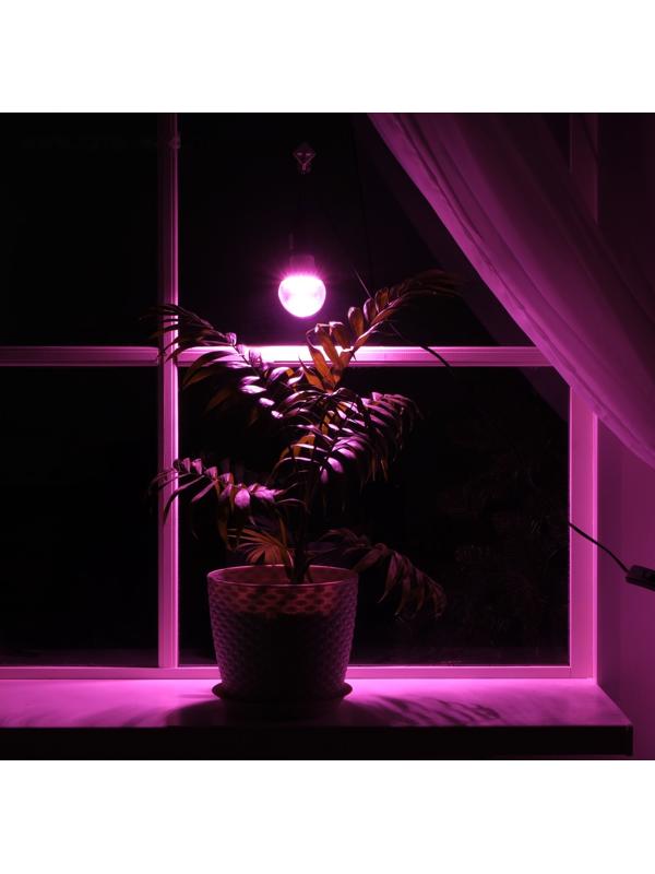 Светильник для растений 12 Вт, 10 мкмоль/с, провод 1.7 метра с выключателем, липучка на окно