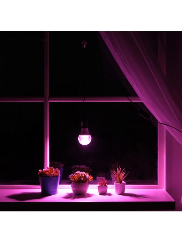 Светильник для растений 12 Вт, 10 мкмоль/с, провод 1.7 метра с выключателем, липучка на окно