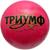 Мяч «Триумф», диаметр 200 мм, МИКС