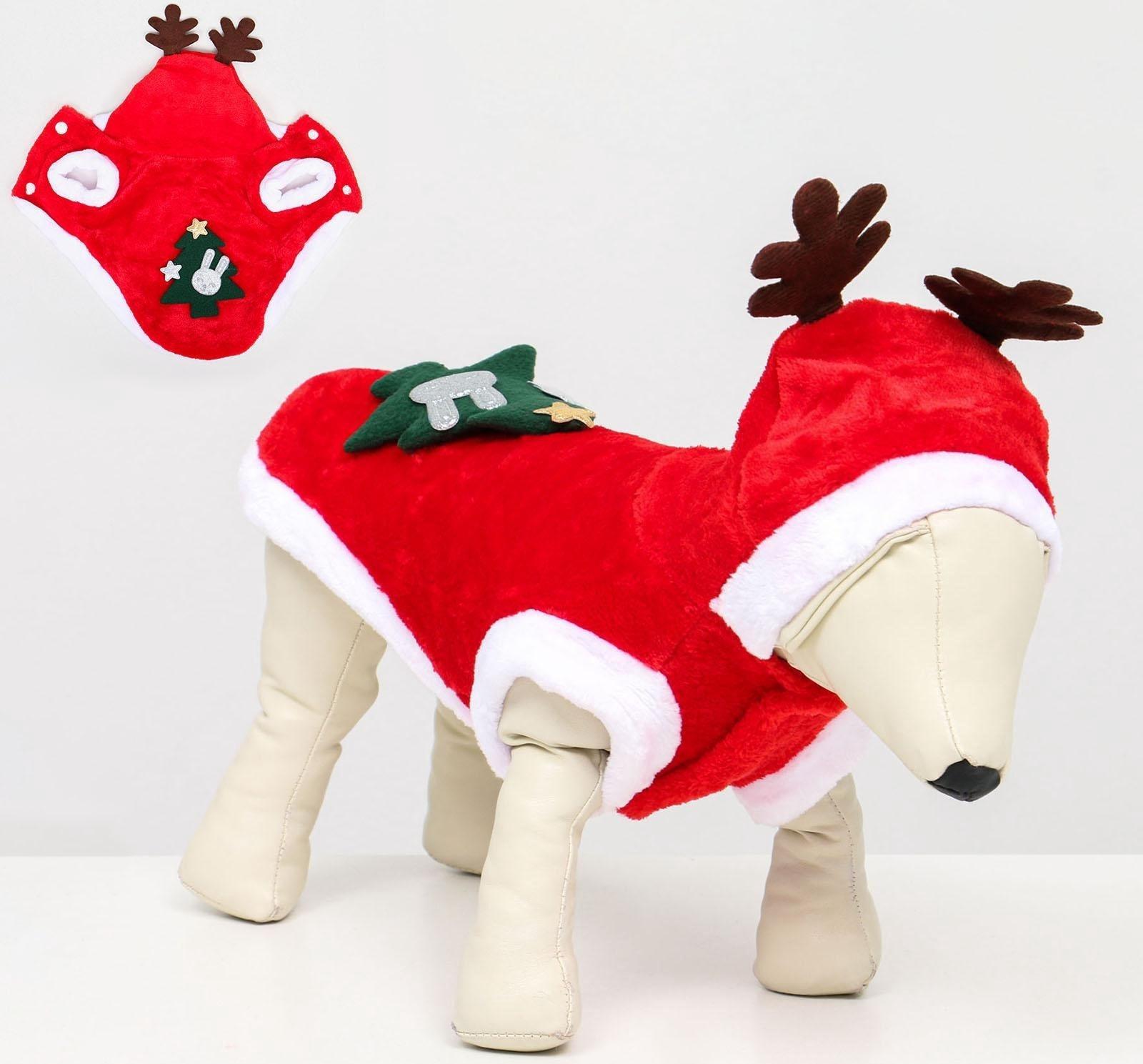 Костюм для животных 