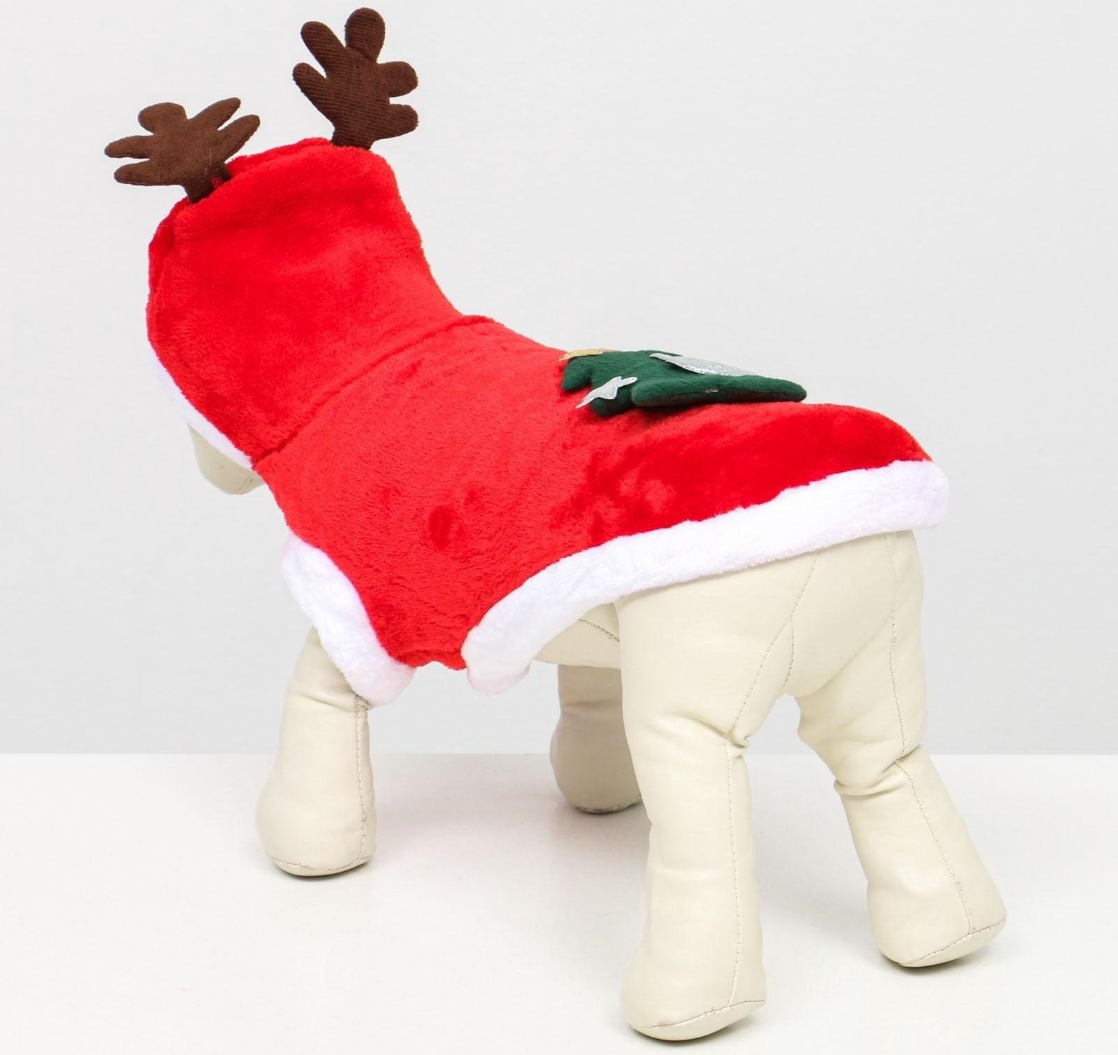 Костюм для животных 