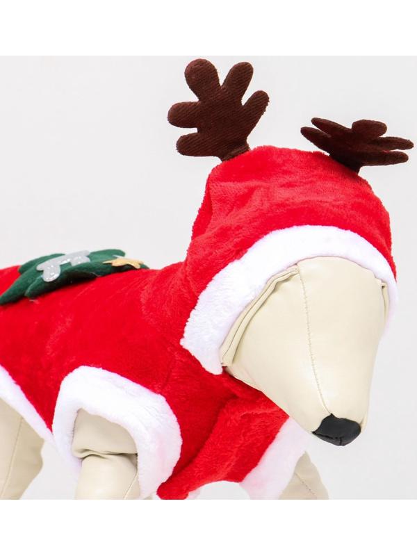 Костюм для животных 