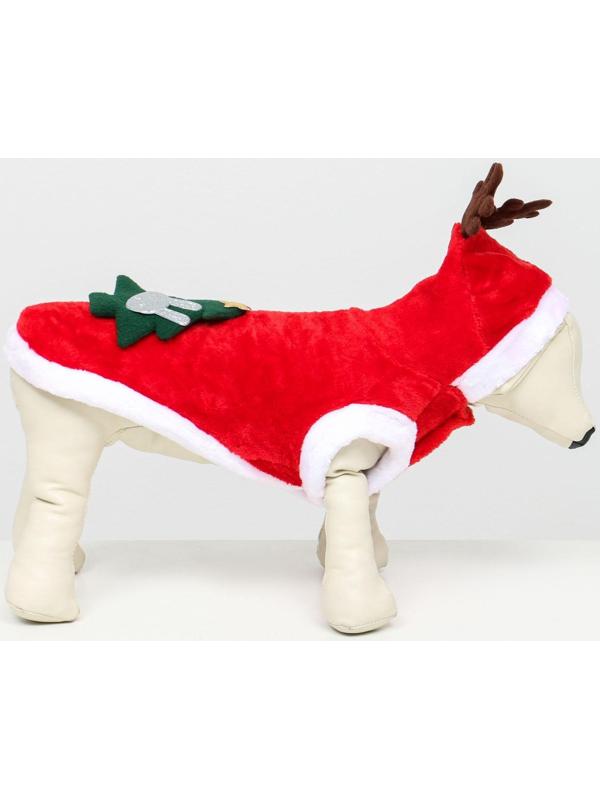 Костюм для животных 