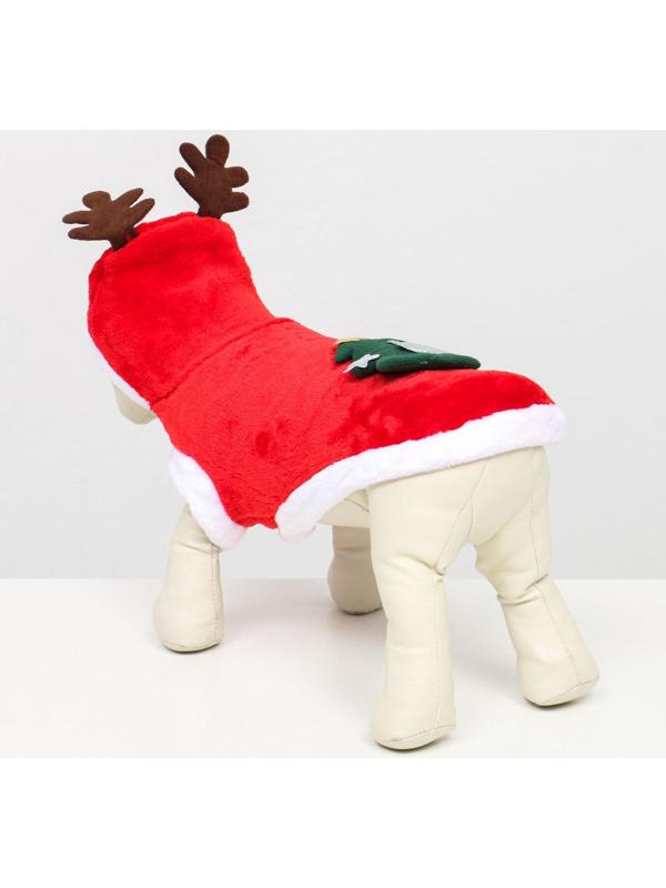 Костюм для животных 