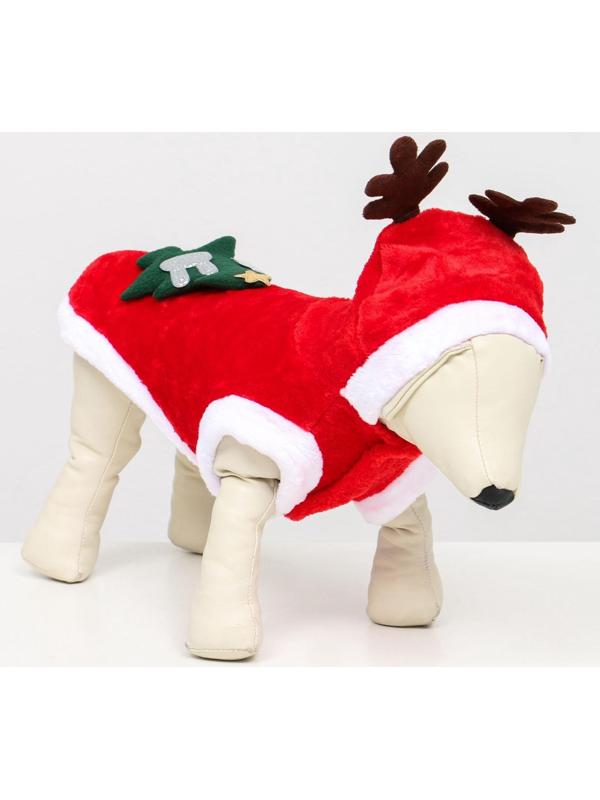 Костюм для животных 