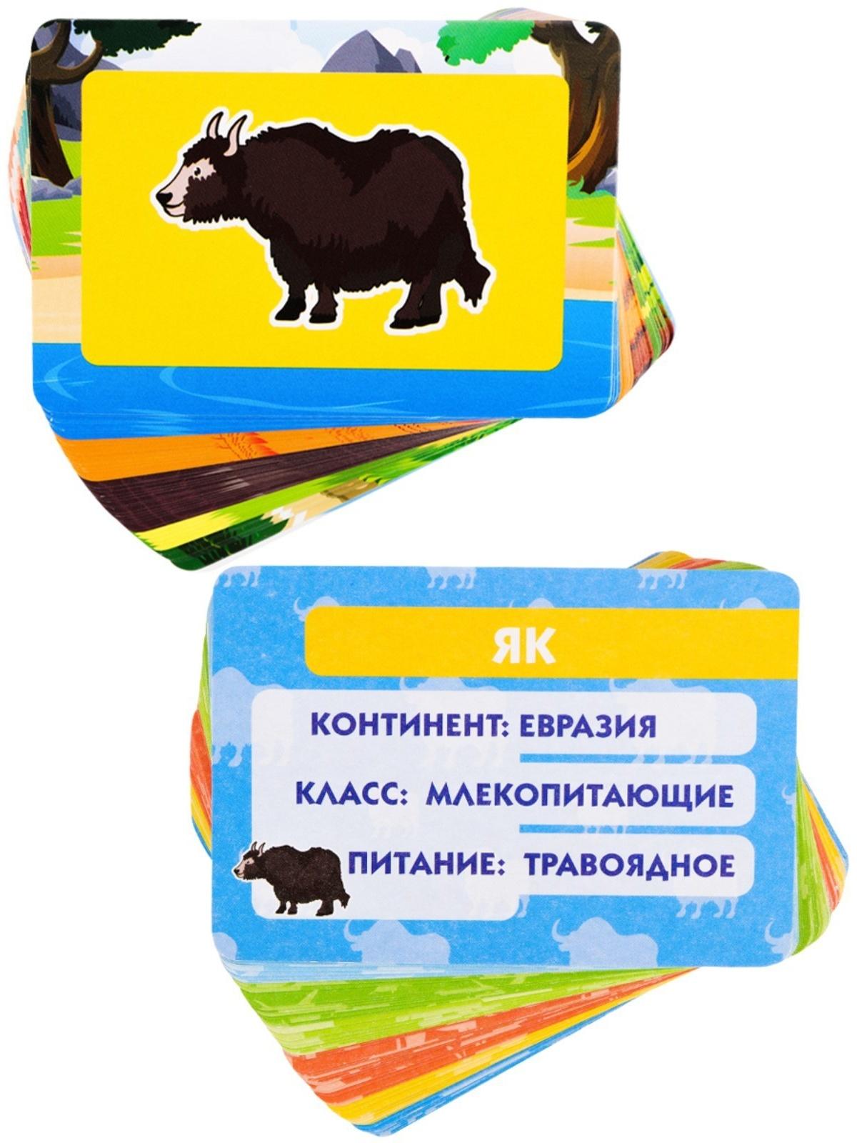 Настольная игра «Зверюшки. Кто где живёт»