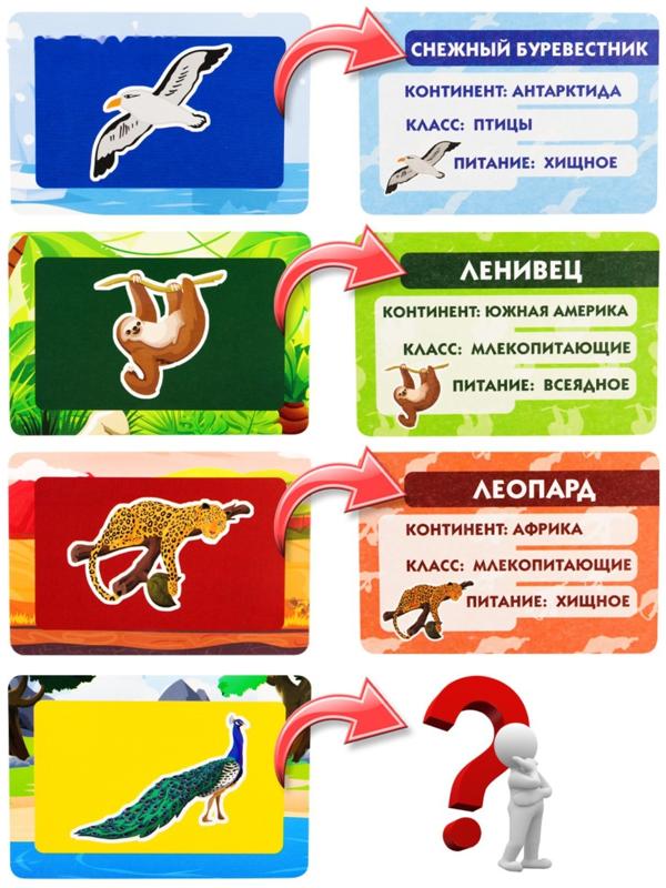 Настольная игра «Зверюшки. Кто где живёт»