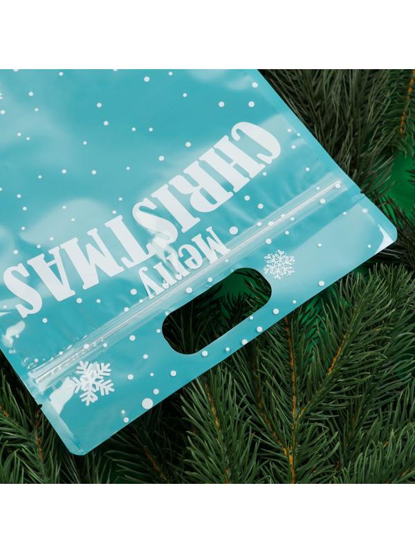 Пакет подарочный новогодний, «С новым годом!», с zip-lock застежкой, 20×30+4.5 см