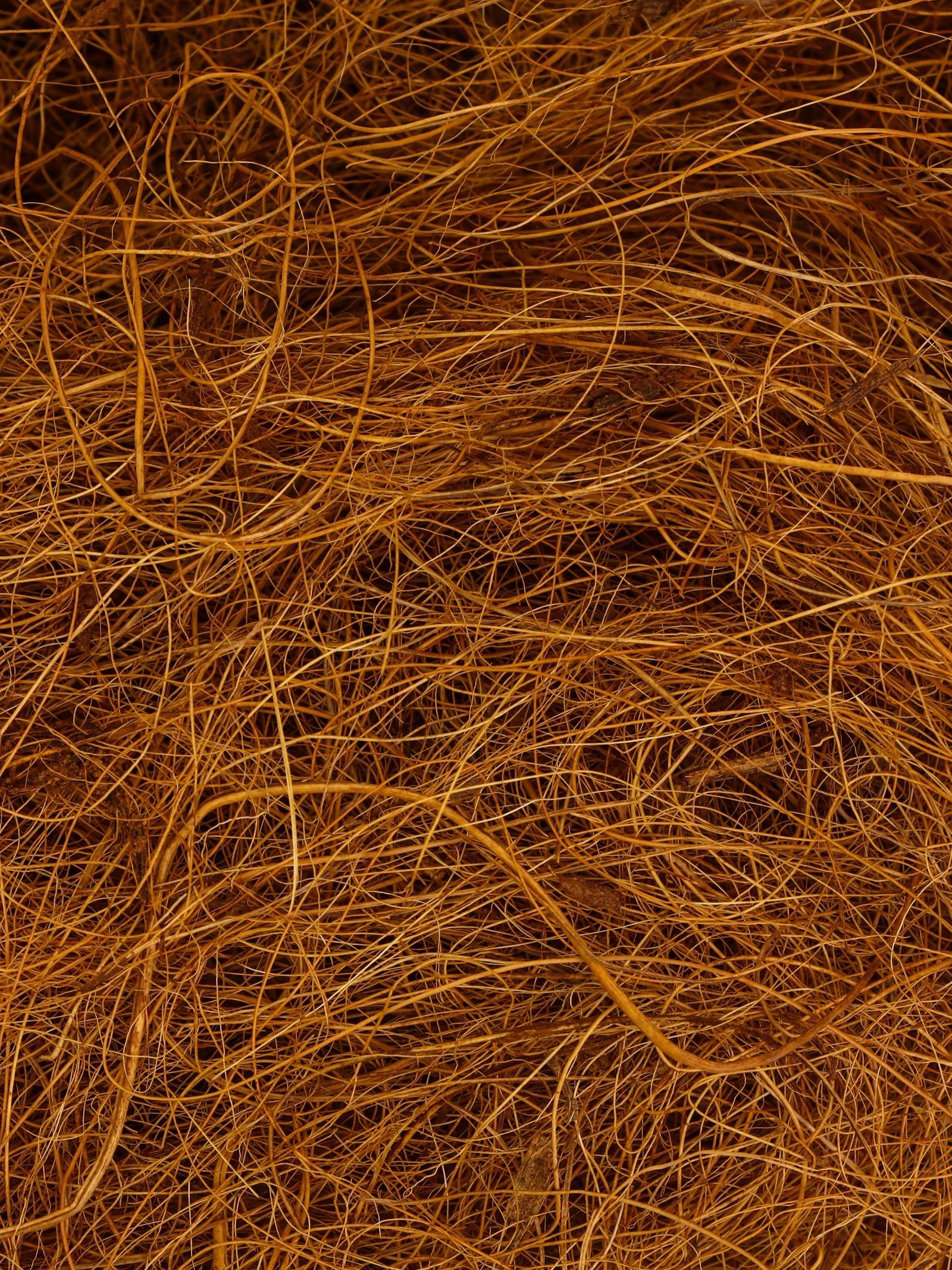 Волокно кокосовое, для мульчирования, 2 л, Greengo