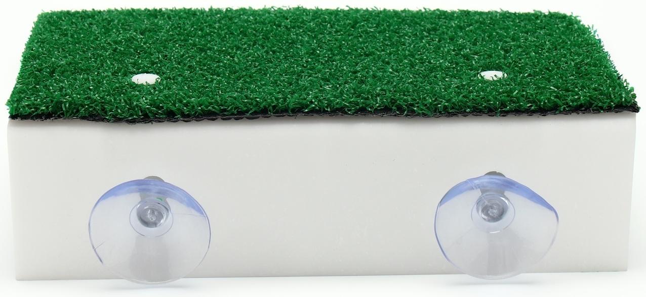 Мостик для черепах большой, на присосках, 20,5 х 20 х 6 см