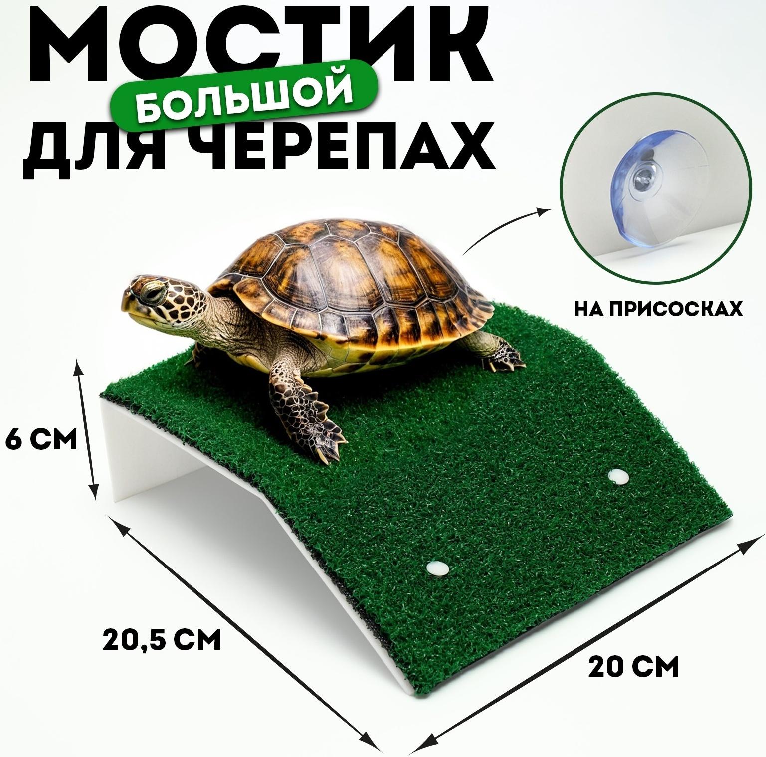 Мостик для черепах большой, на присосках, 20,5 х 20 х 6 см