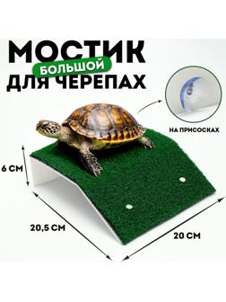 Мостик для черепах большой, на присосках, 20,5 х 20 х 6 см