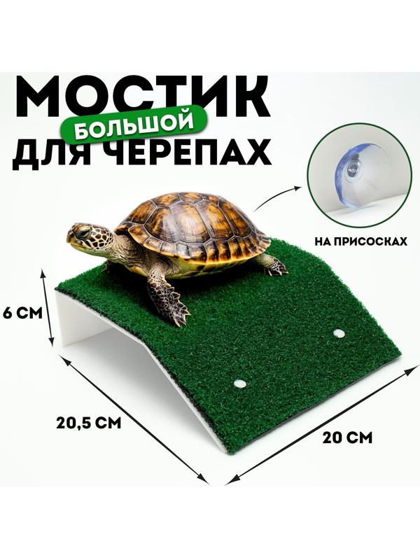 Мостик для черепах большой, на присосках, 20,5 х 20 х 6 см