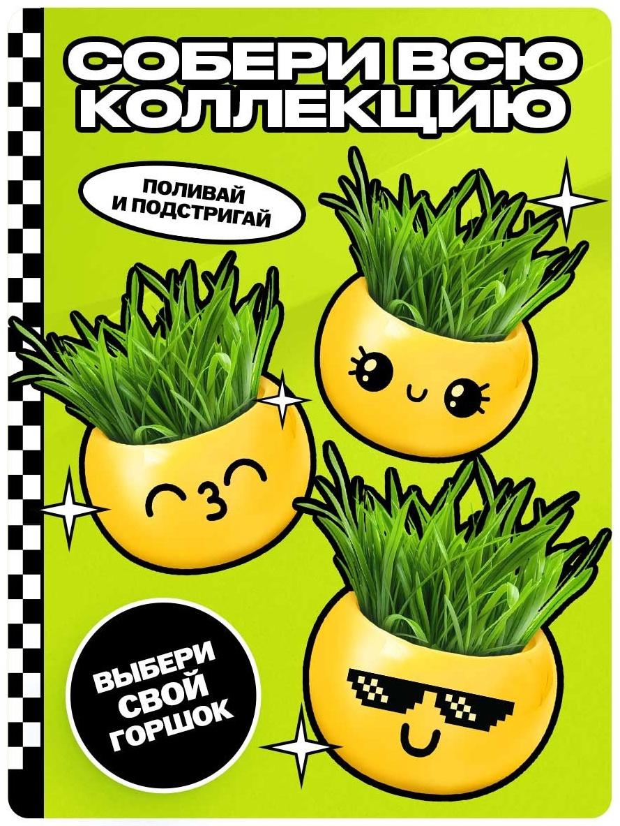 Набор для опытов, для детей «Выращиваем травку», растение в горшочке - эмодзи «Милый»