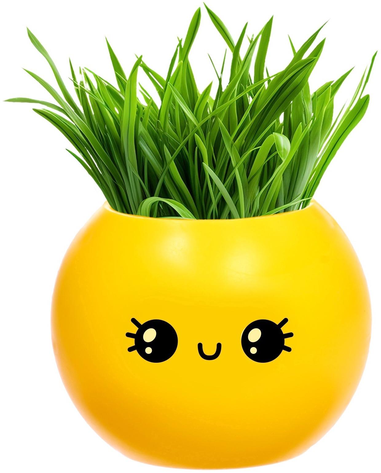 Набор для опытов, для детей «Выращиваем травку», растение в горшочке - эмодзи «Милый»