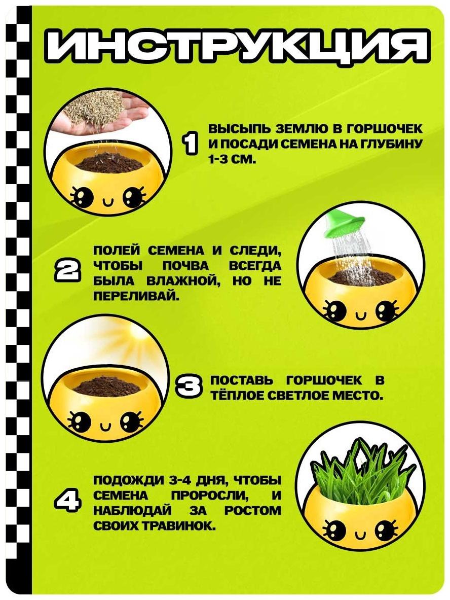 Набор для опытов, для детей «Выращиваем травку», растение в горшочке - эмодзи «Милый»