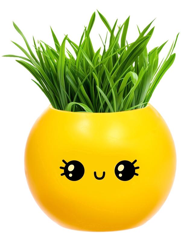 Набор для опытов, для детей «Выращиваем травку», растение в горшочке - эмодзи «Милый»