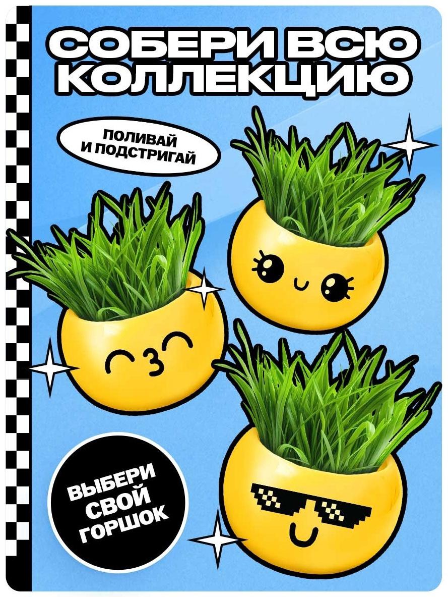Набор для опытов, для детей «Выращиваем травку», растение в горшочке - эмодзи «Крутой»