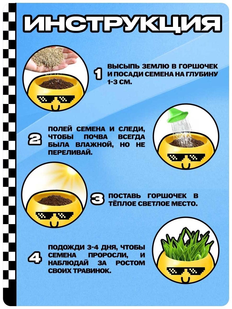 Набор для опытов, для детей «Выращиваем травку», растение в горшочке - эмодзи «Крутой»