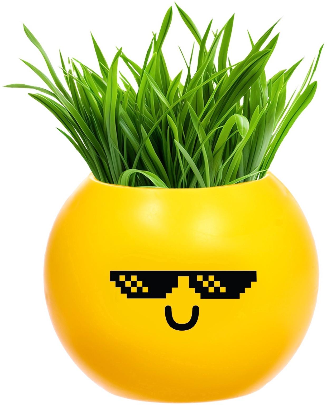Набор для опытов, для детей «Выращиваем травку», растение в горшочке - эмодзи «Крутой»