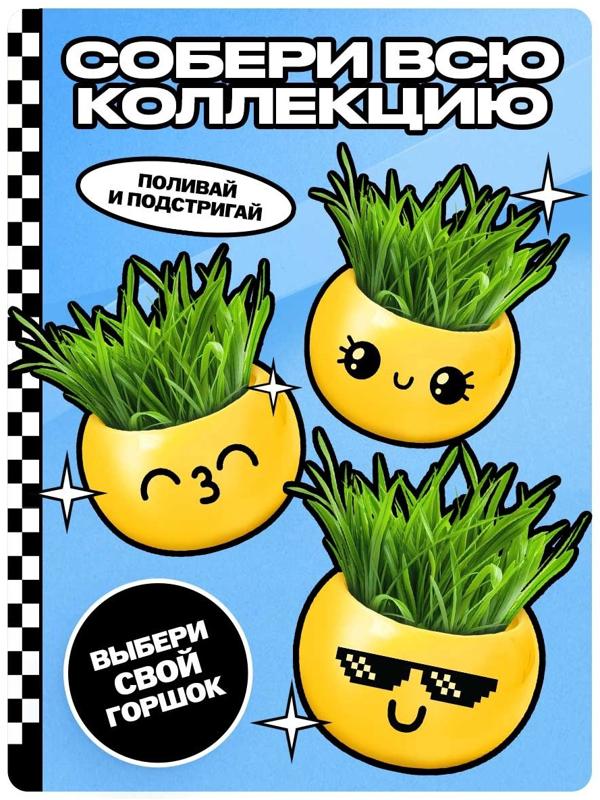 Набор для опытов, для детей «Выращиваем травку», растение в горшочке - эмодзи «Крутой»