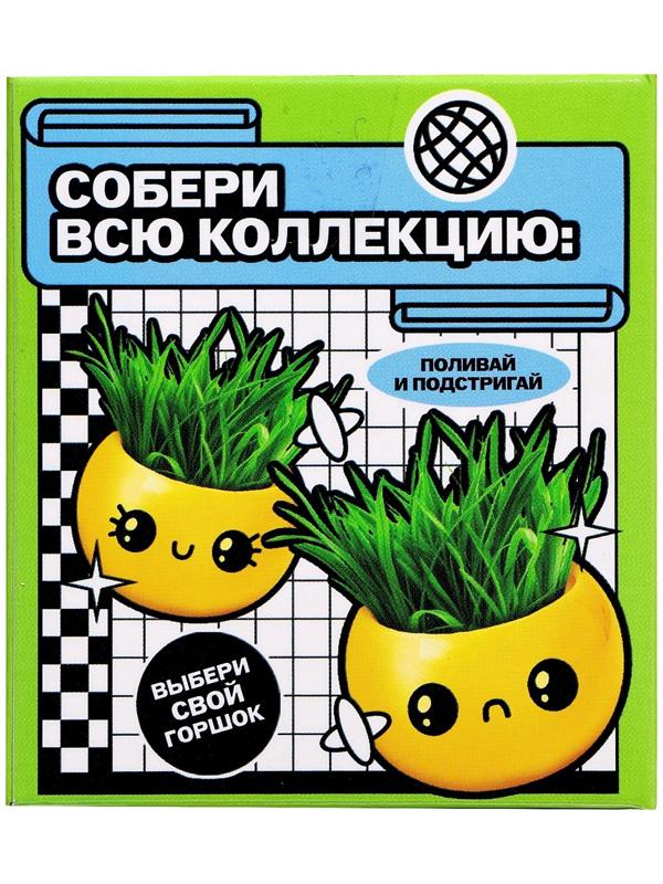 Набор для опытов, для детей «Выращиваем травку», растение в горшочке - эмодзи «Крутой»