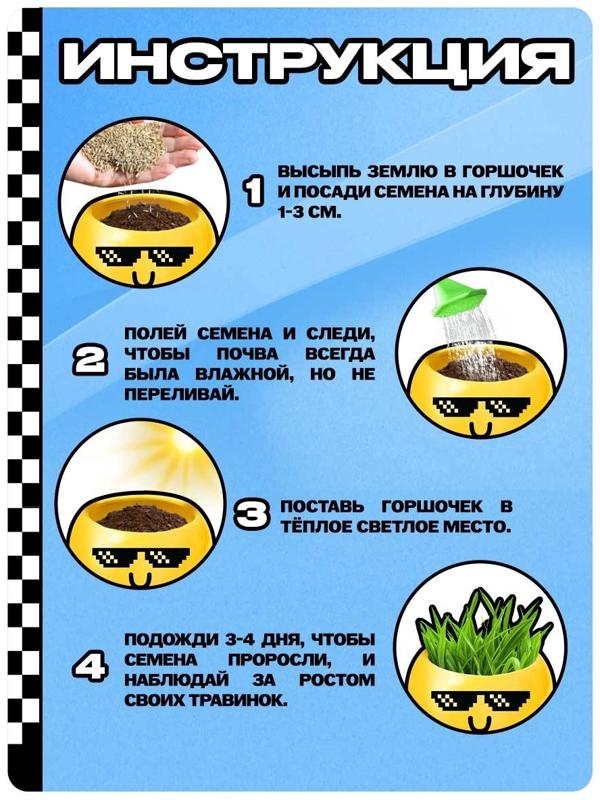 Набор для опытов, для детей «Выращиваем травку», растение в горшочке - эмодзи «Крутой»