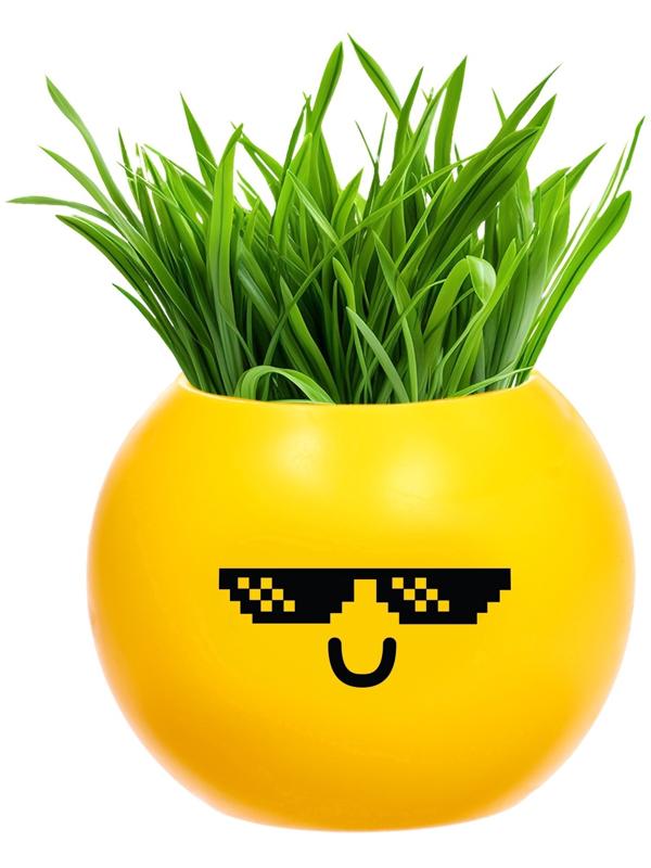 Набор для опытов, для детей «Выращиваем травку», растение в горшочке - эмодзи «Крутой»