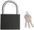 Замок навесной ТУНДРА OneKey001, 75 мм, с одной секретностью, 3 ключа