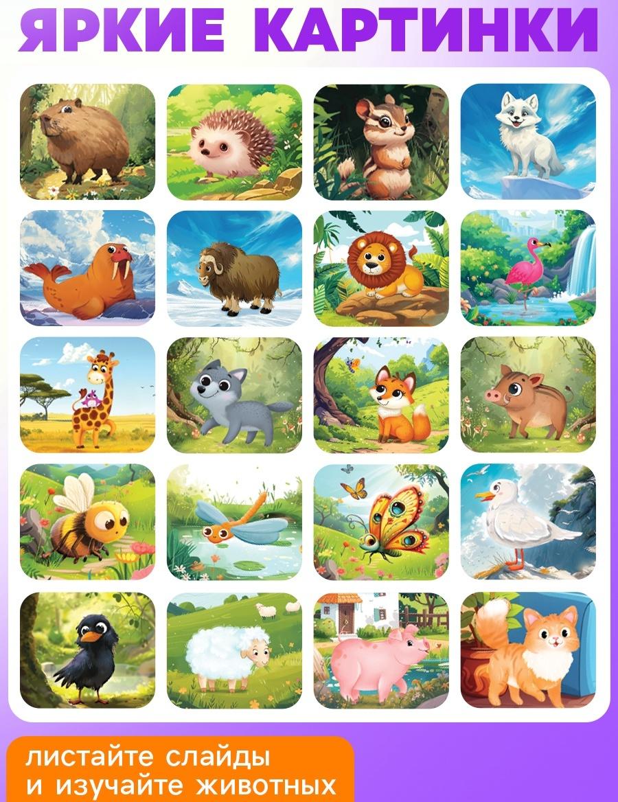 Адвент - календарь с проектором «Животные мира», 9 слайдов, 72 карточки