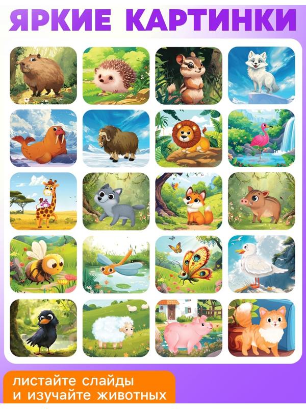 Адвент - календарь с проектором «Животные мира», 9 слайдов, 72 карточки
